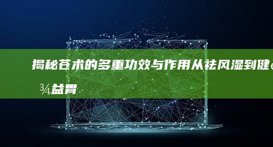 揭秘苍术的多重功效与作用：从祛风湿到健脾益胃的神奇效果